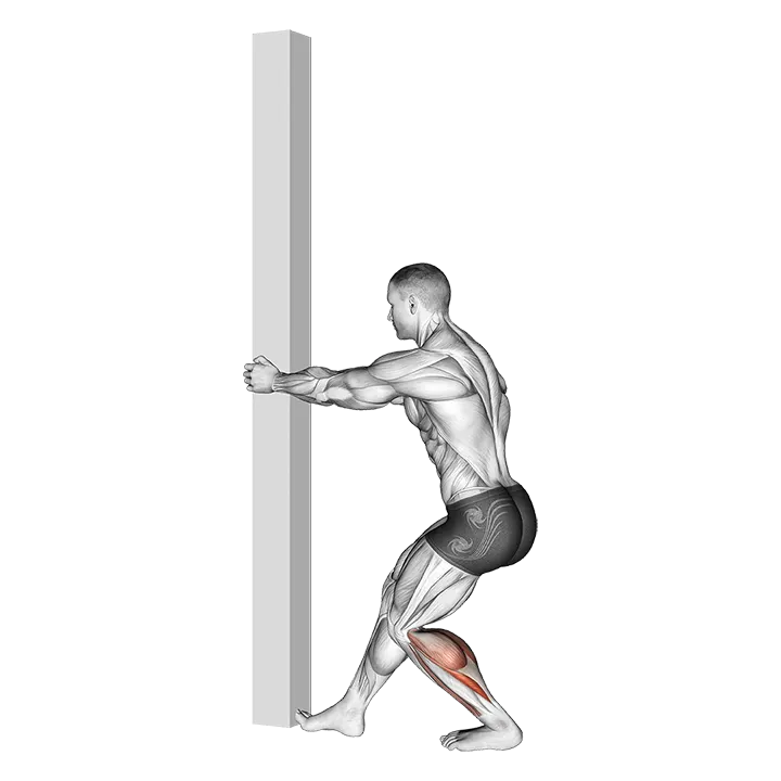 Tibial Stretch With Semi Flexed Knee exercise animation (Male)