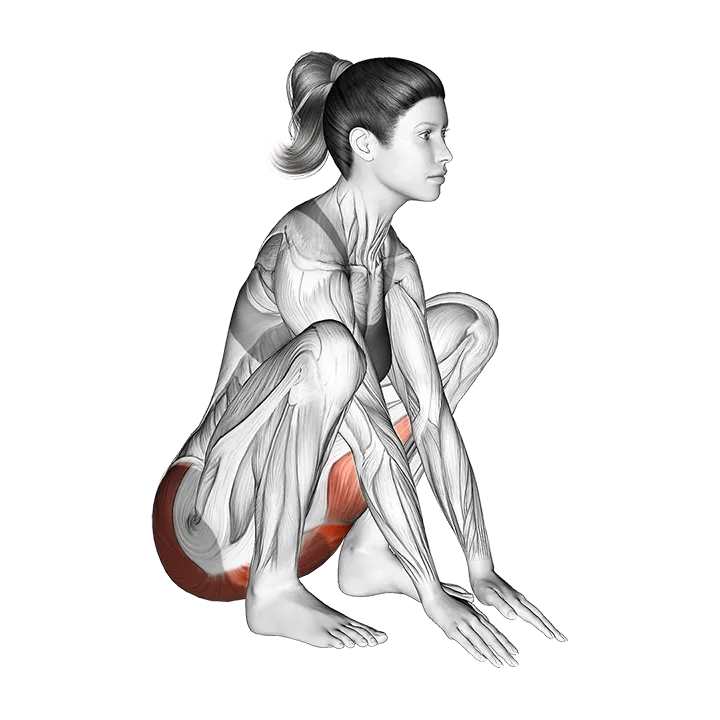 Hip And Knee Flexion Squatting Stretch exercise animation (Female)
