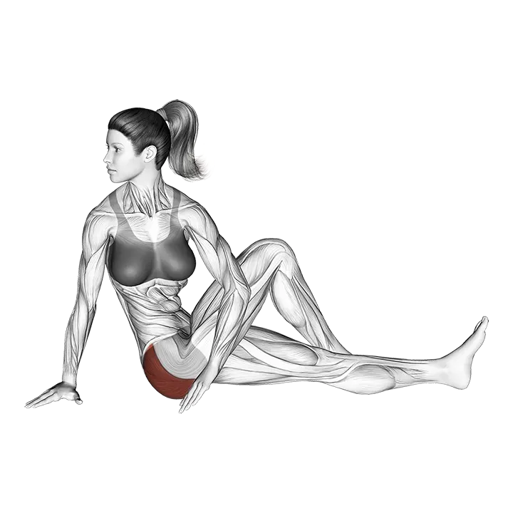 Seated Knee Up Rotation Stretch exercise animation (Female)