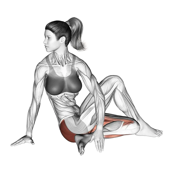 Seated Knee Up Extended Rotation Stretch exercise animation (Female)