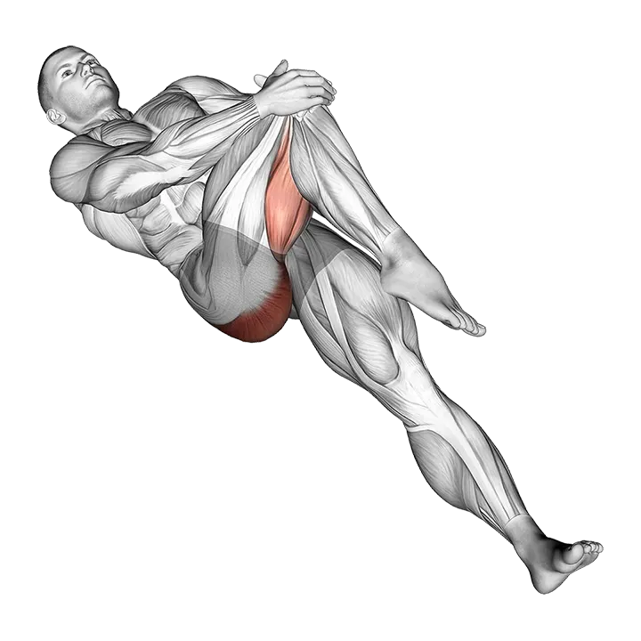 Lying Cross Over Knee Pull Up Stretch exercise animation (Male)