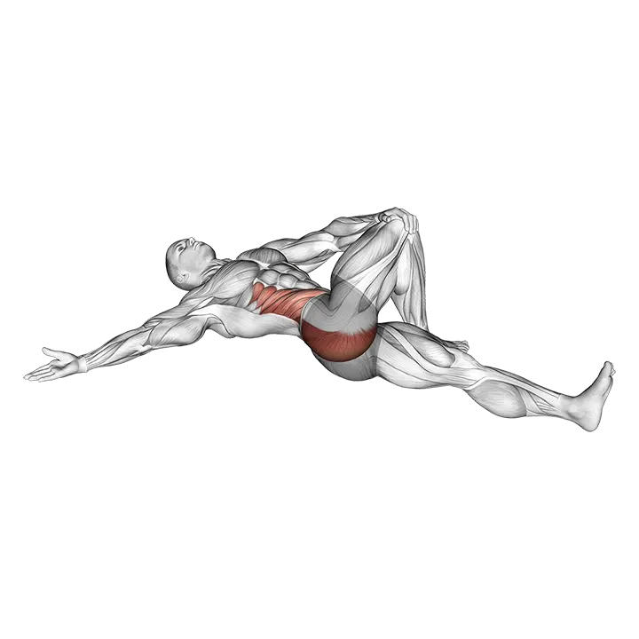 Lying Cross Over Knee Pull Down Stretch exercise animation (Male)