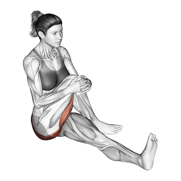 Seated Bent Knee To Chest Buttock Stretch exercise animation (Female)