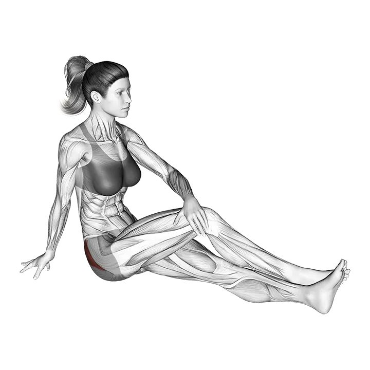 Seated Hip Stretch With Slightly Bent Leg exercise animation (Female)