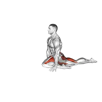 Pigeon Hip Stretch