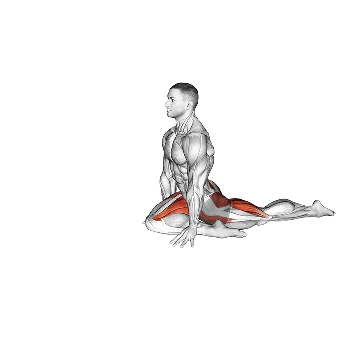 Pigeon Hip Stretch exercise animation (Male)
