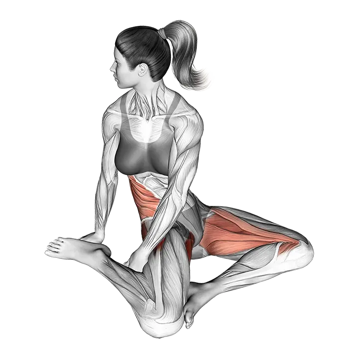 Sitting Rotational Hip Stretch exercise animation (Female)