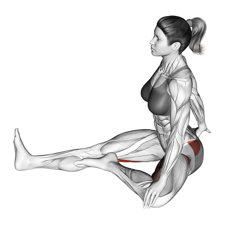 Sitting One Leg External Stretch exercise animation (Female)