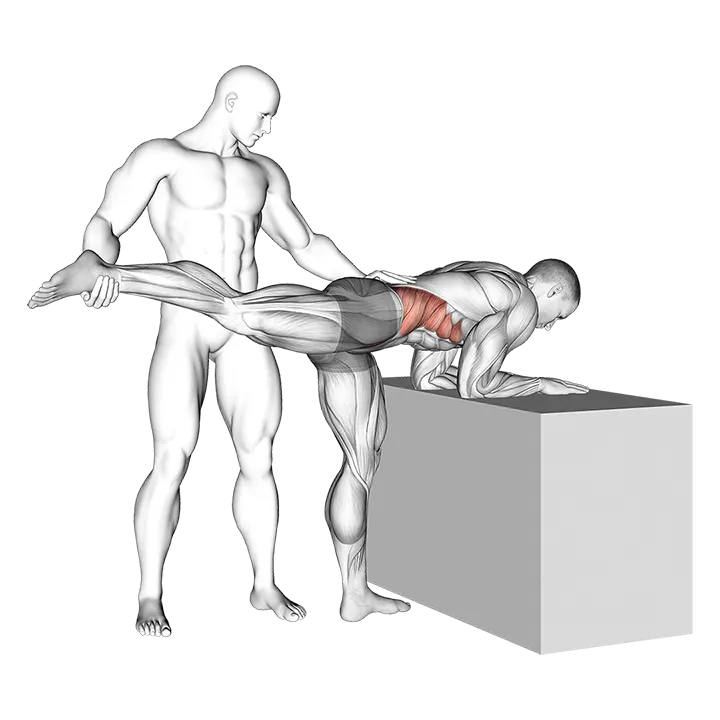 Assisted One Leg Extension exercise animation (Male)