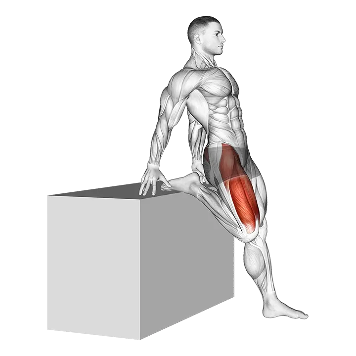 Supported One Leg Standing Hip Flexor And Knee Extensor Stretch exercise animation (Male)