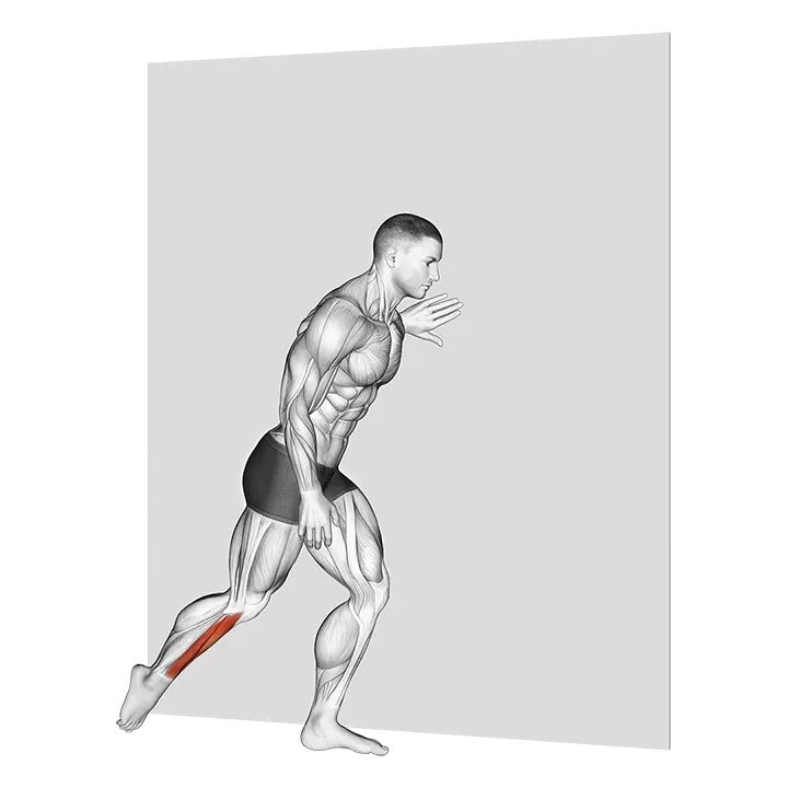 Standing Shin Stretch exercise animation (Male)
