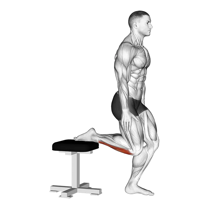 Raised Foot Shin Stretch exercise animation (Male)