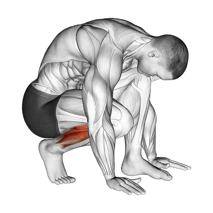 Squatting Toe Stretch exercise animation (Male)