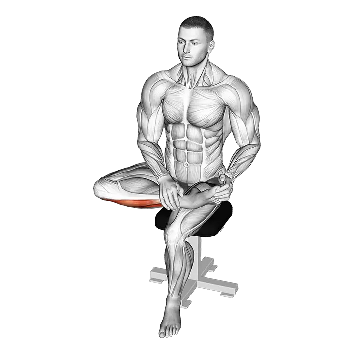 Seated Toe Extensor Stretch exercise animation (Male)