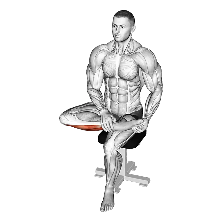 Seated Toe Extensor And Foot Everter Stretch exercise animation (Male)