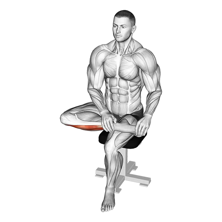 Seated Toe Extensor And Foot Inverter Stretch exercise animation (Male)