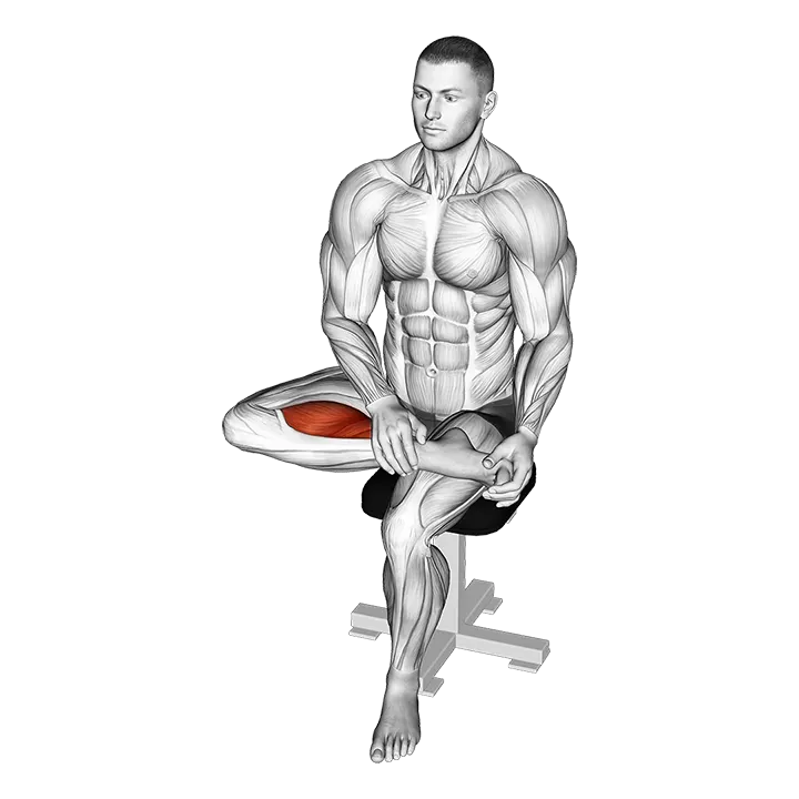 Seated Toe Flexor Stretch exercise animation (Male)