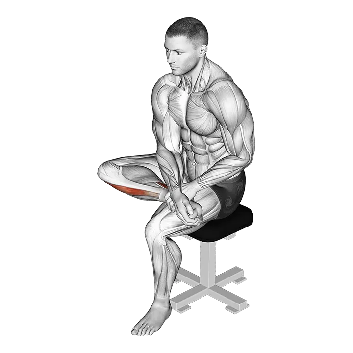 Seated Toe Flexor And Foot Everter Stretch exercise animation (Male)
