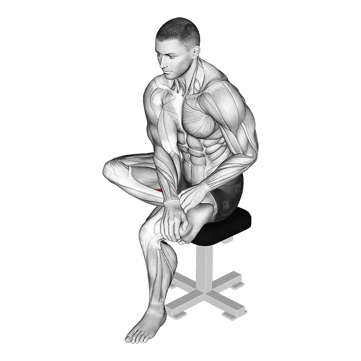 Seated Toe Flexor And Foot Inverter Stretch exercise animation (Male)