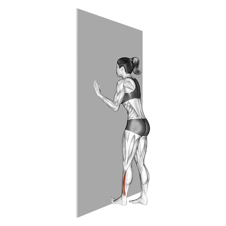 Standing Toe Flexor Stretch exercise animation (Female)