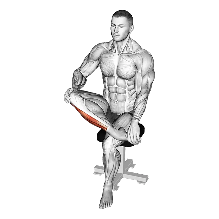 Mobilization Of Ankle Stretch exercise animation (Male)