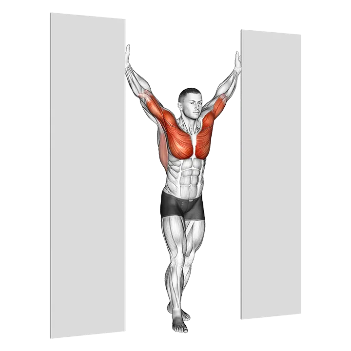 Standing Upright Shoulders Stretch exercise animation (Male)