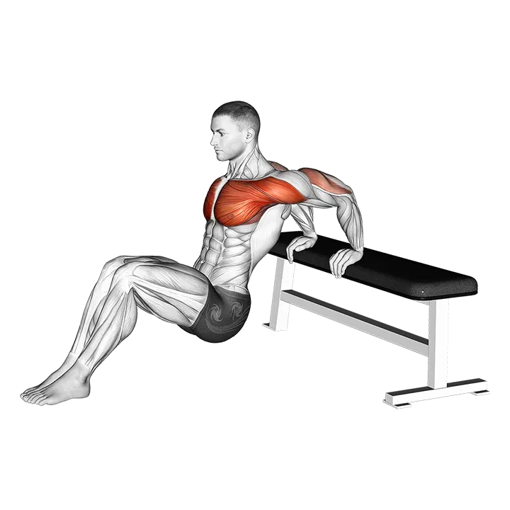 Sitting Shoulders Stretch On Bench exercise animation (Male)