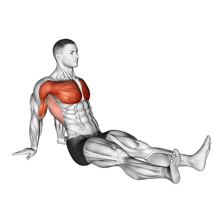 Seated Shoulder Flexor Depresor Retractor Stretch exercise animation (Male)