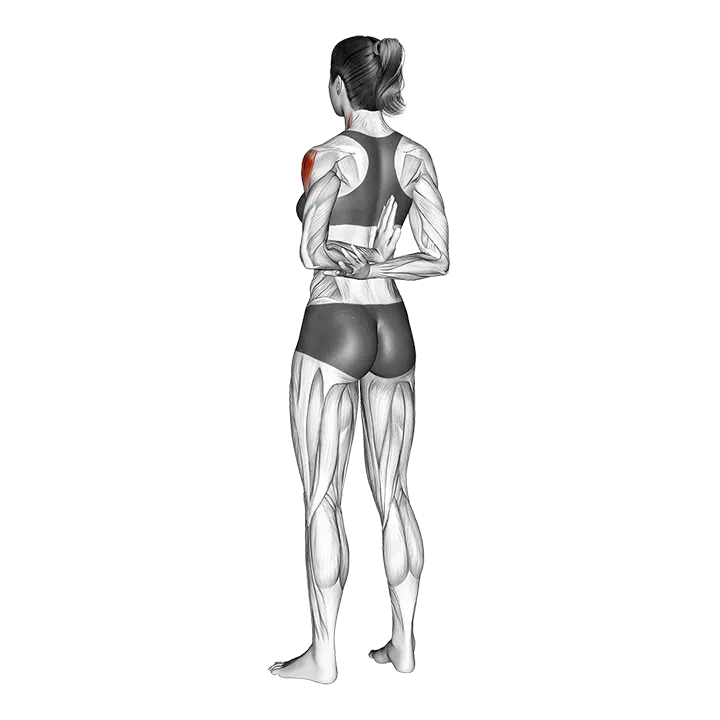 One Arm Shoulder Flexor Stretch exercise animation (Female)