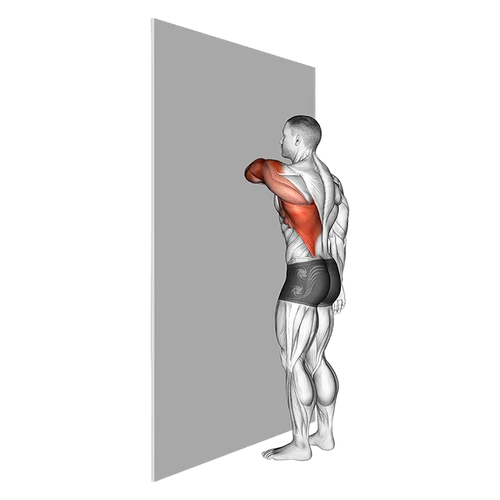 Shoulder Extensor Adductor And Retractor Stretch exercise animation (Male)