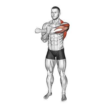Across Chest Shoulder Stretch