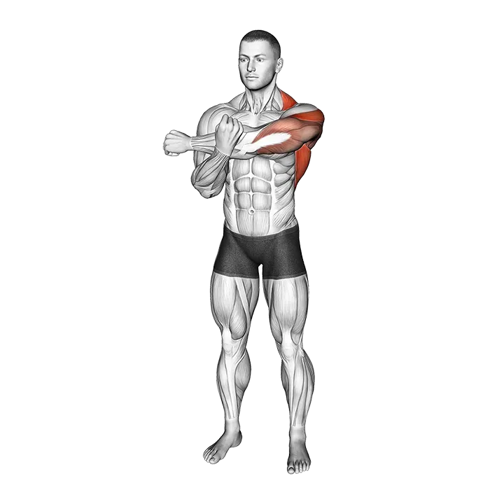 Across Chest Shoulder Stretch exercise animation (Male)