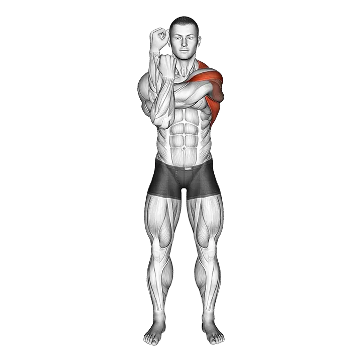 Bent Arm Shoulder Stretch exercise animation (Male)