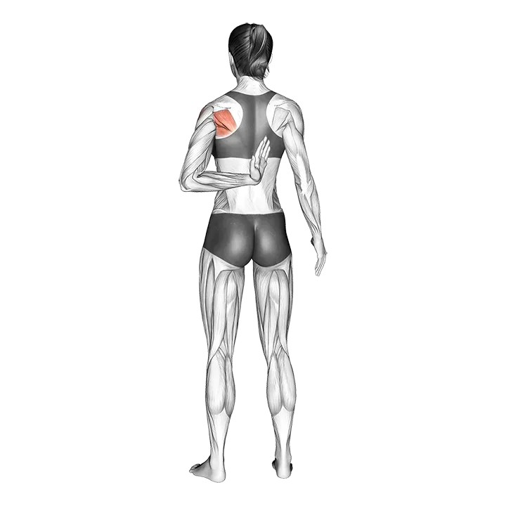 Reaching Up Shoulder Stretch exercise animation (Female)