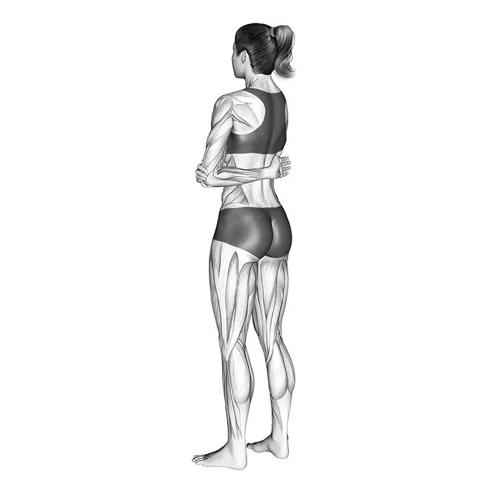 Rotator Cuff Stretch exercise animation (Female)