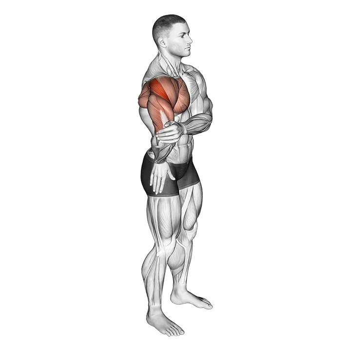 Elbow Out Rotator Stretch exercise animation (Male)