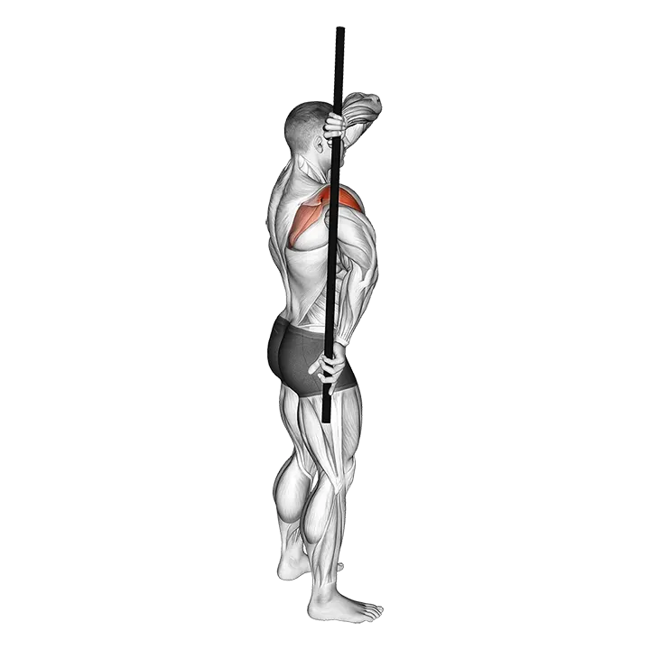 Arm Down Rotator Stretch exercise animation (Male)
