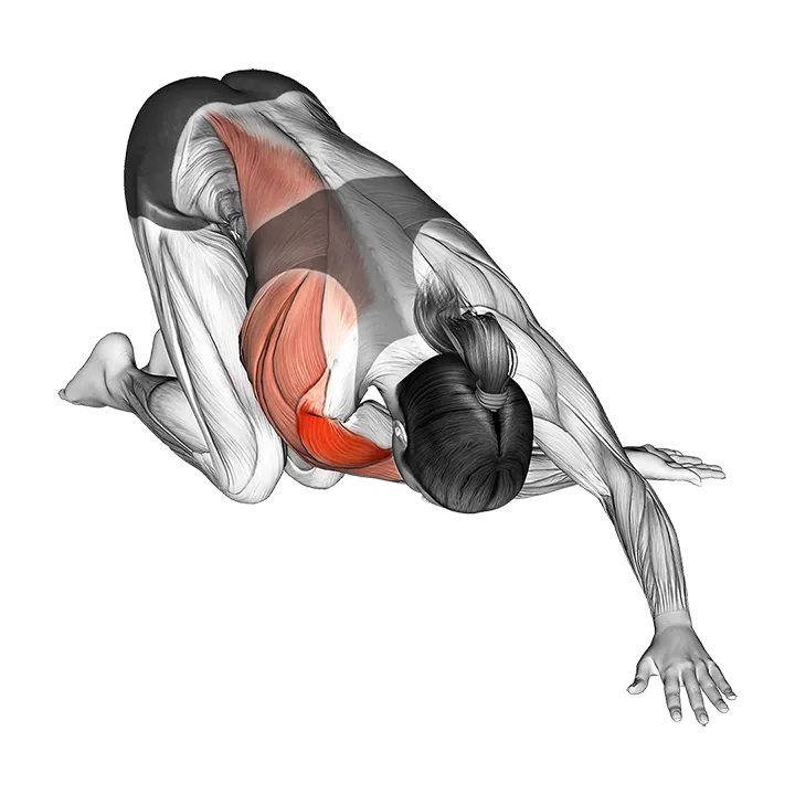 Kneeling One Arm Cross Body Stretch exercise animation (Female)
