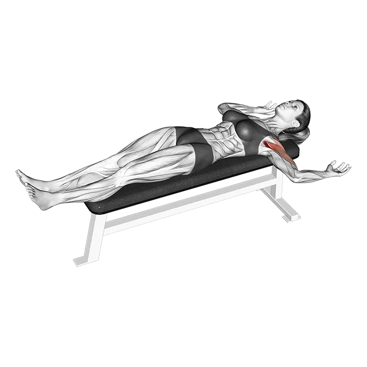 External Shoulder Rotation Stretch exercise animation (Female)