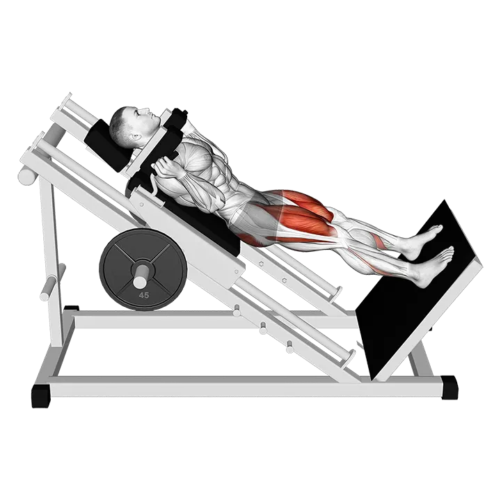 Sled Full Hack Squat exercise animation (Male)