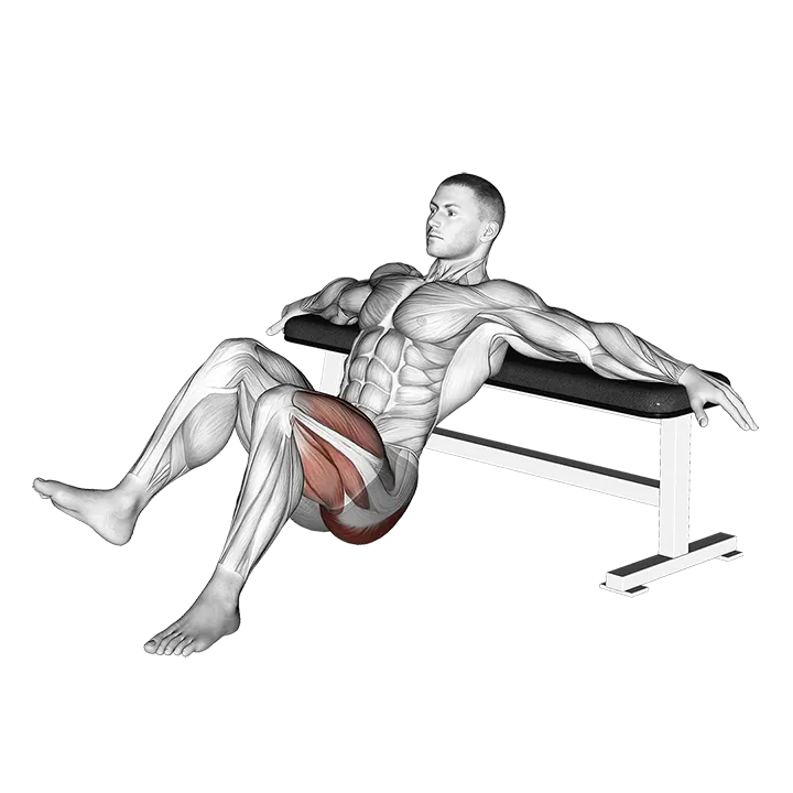 Single Leg Hip Thrusts exercise animation (Male)