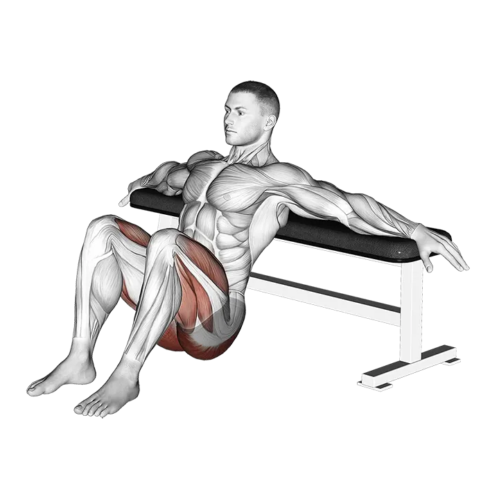 Hip Thrusts exercise animation (Male)