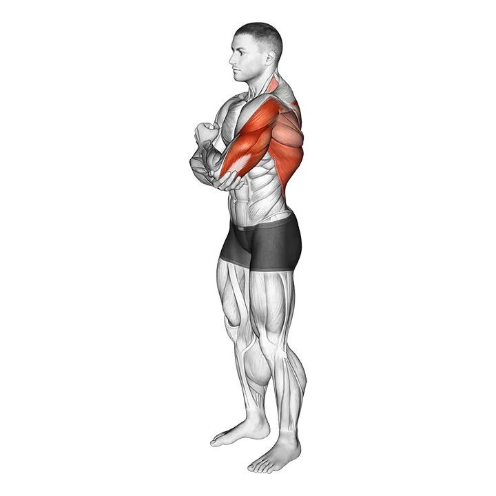Shoulder Adductor Protractor And Elevator Stretch exercise animation (Male)