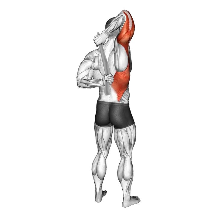 Shoulder Stretch With Towel Behind The Back exercise animation (Male)