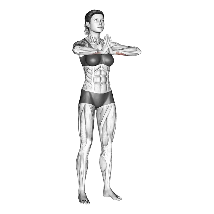Finger Stretch exercise animation (Female)