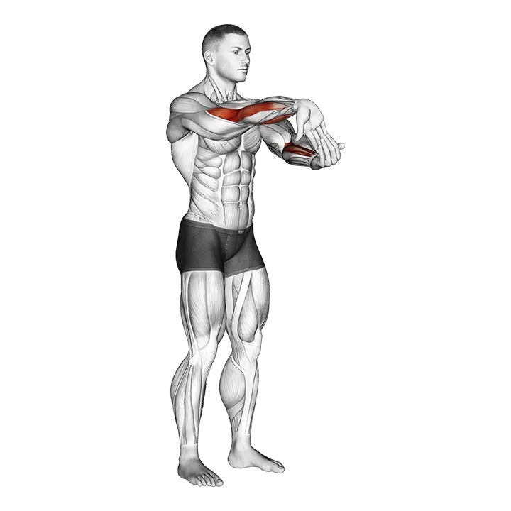 Fingers Down Forearm Stretch exercise animation (Male)
