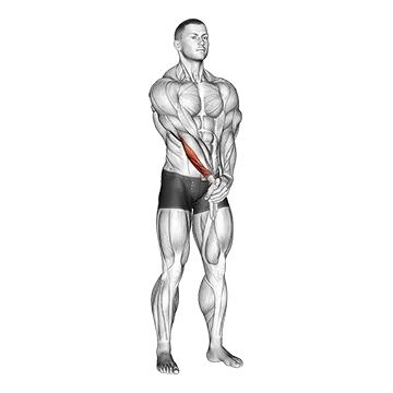 Adduction Hand With Elbow Extended Stretch