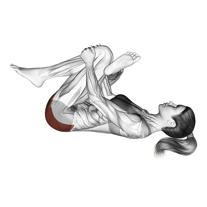 Recumbent Hip External Rotator And Hip Extensor Stretch (Crossed Leg) exercise animation (Female)