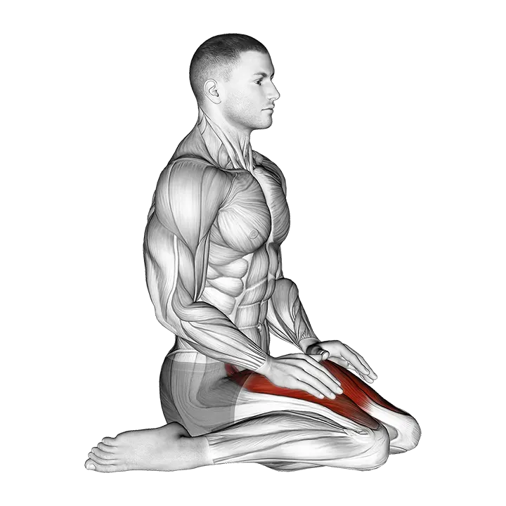 Seated Quadriceps Stretch exercise animation (Male)
