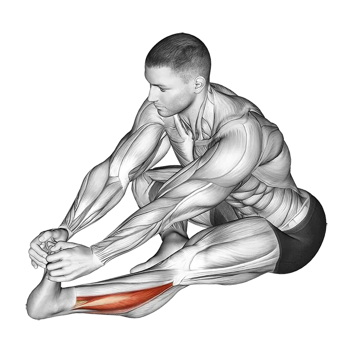 Sitting Toe Pull Calf Stretch exercise animation (Male)